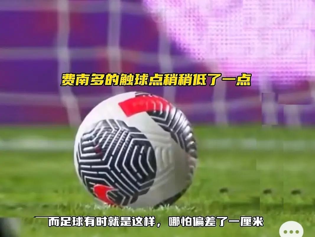 中的表现可
